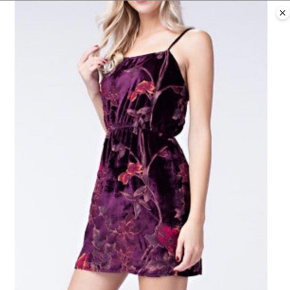 Honey Belle Dresses & Skirts - Honey Belle velvet burnout floral mini dress